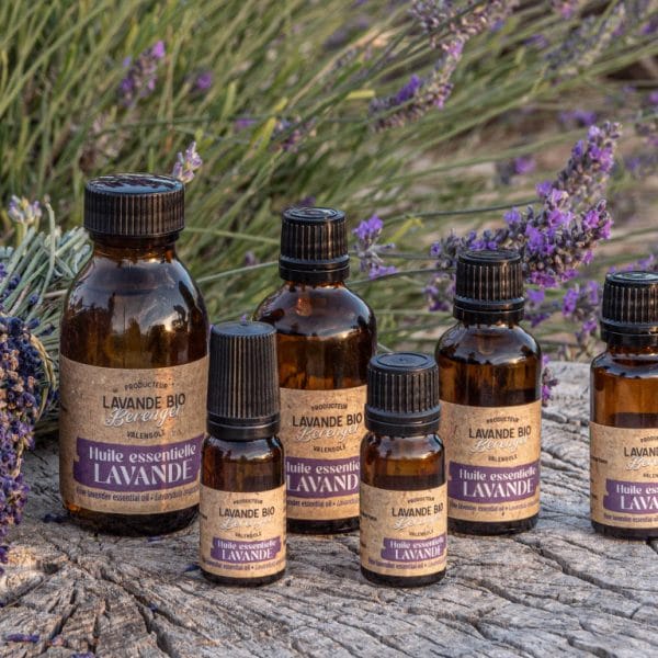 Unser Sortiment 1 Cinq flacons d'huile essentielle de lavande en verre brun avec des étiquettes violettes sont disposés sur une surface en bois, entourés de fleurs et de tiges de lavande fraîches en arrière-plan.
