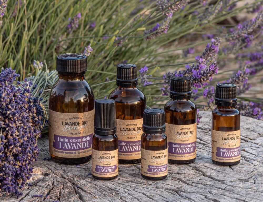 Cinq flacons d'huile essentielle de lavande en verre brun avec des étiquettes violettes sont disposés sur une surface en bois, entourés de fleurs et de tiges de lavande fraîches en arrière-plan.