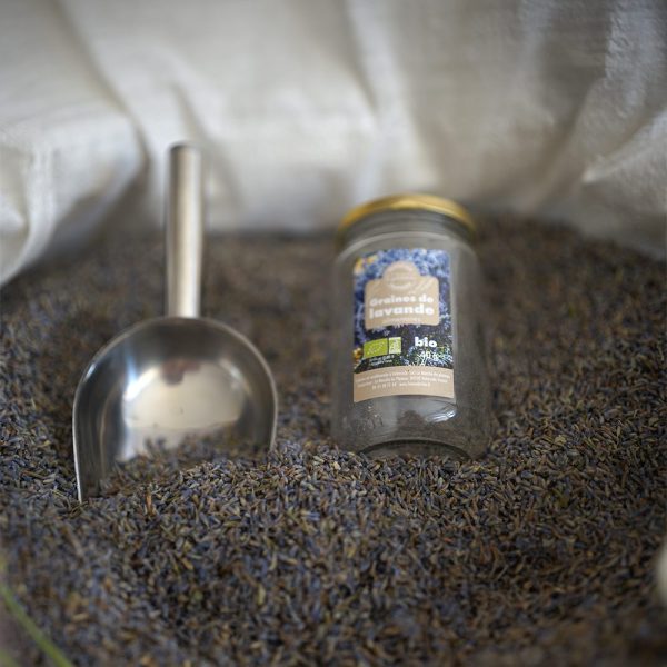 Lavender flowers in bulk