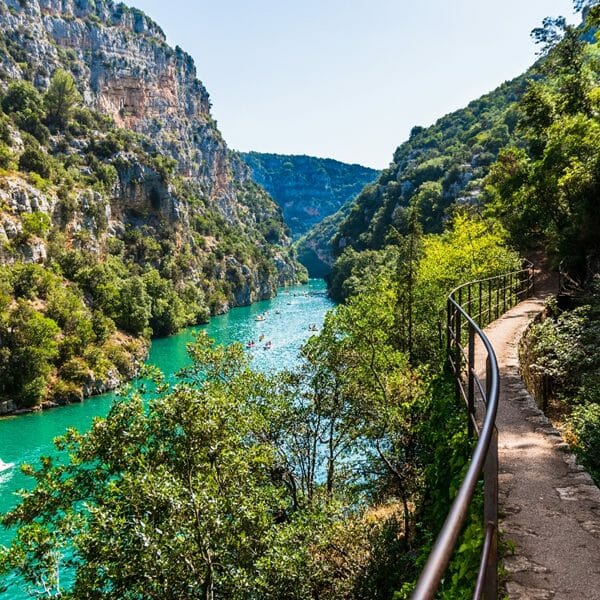 Lavande-bio-gorges-du-verdon