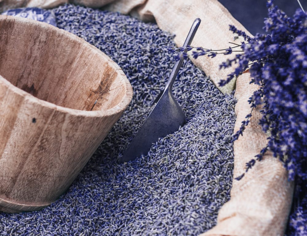 Crème De Jour Bio Cien à La Lavande & Acide Hyaluronique – Soin Anti-pollution, Neuf