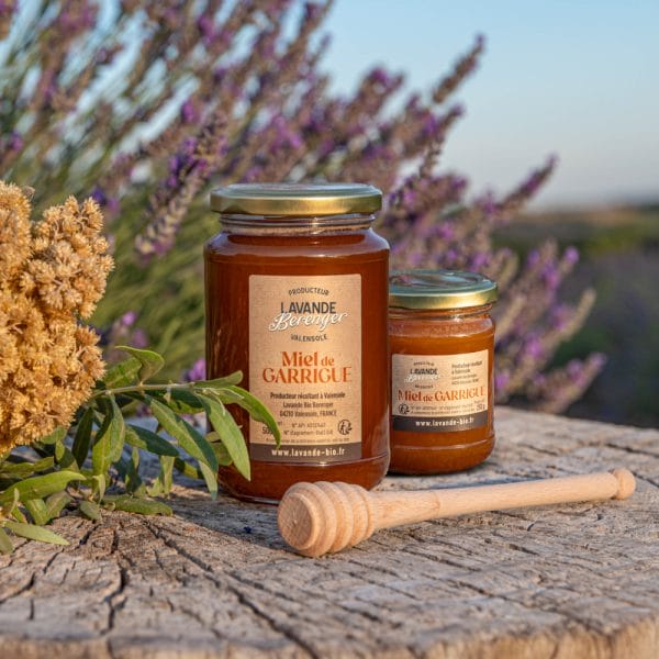Deux pots de miel Miel de Garrigue sont posés sur une surface rustique en bois, avec en arrière-plan une louche à miel, des feuilles vertes et des fleurs de lavande épanouies.