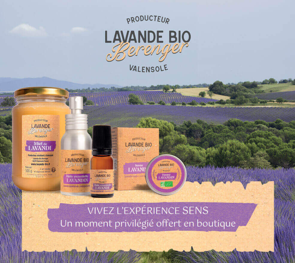 Lavande et lavandin du plateau de Valensole