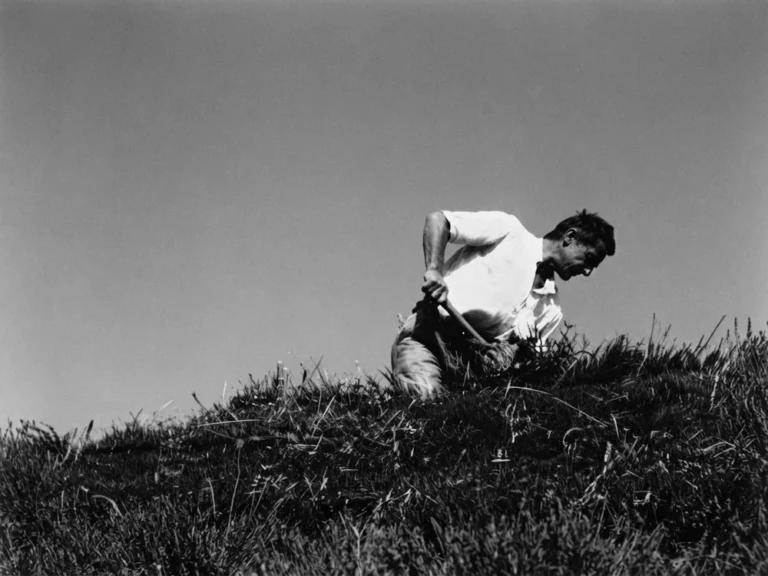Our history 2 Aimé Magnan at work on the Valensole plateau