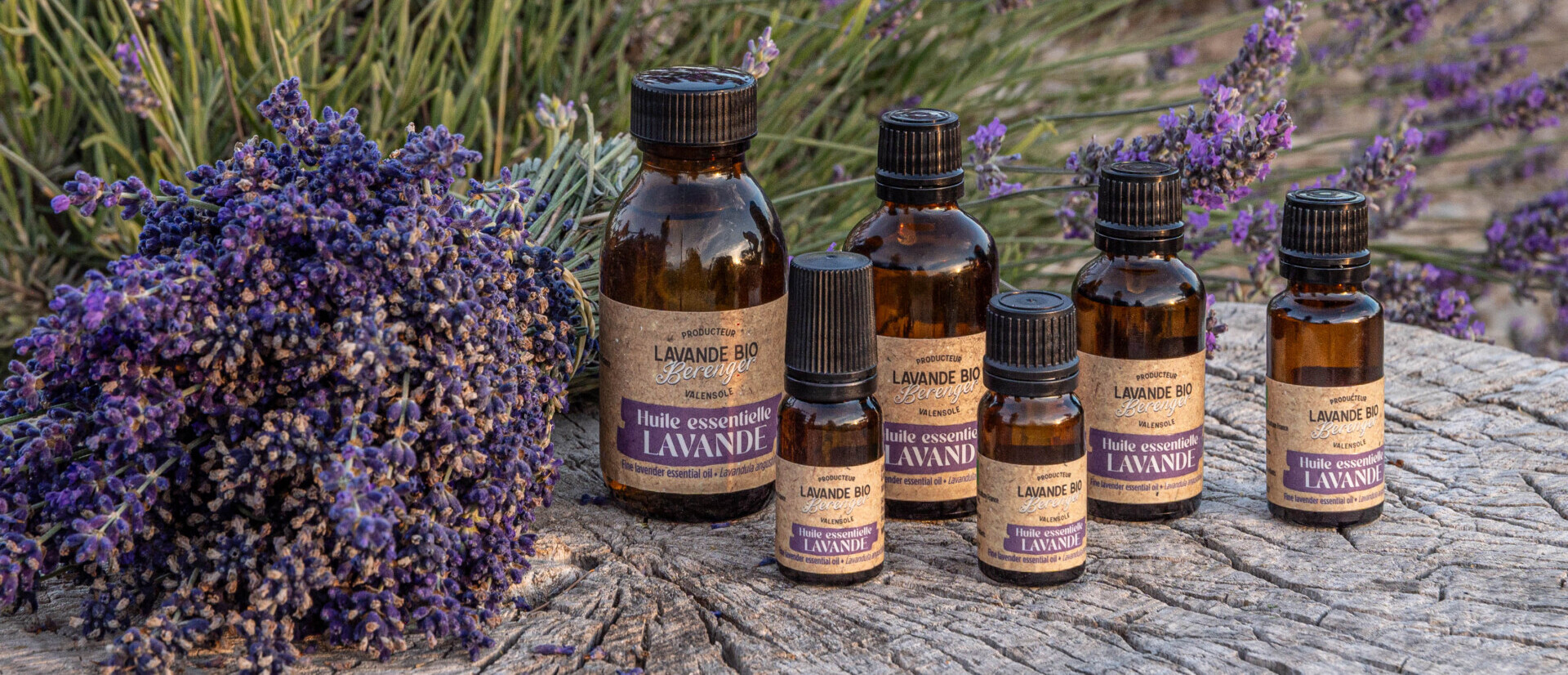 Echter Lavendel (Lavandula angustifolia): alles über den wahren Lavendel 1 Echter Bio-Lavendel und Produkte von Lavande Bio Bérenger in den Feldern von Valensole
