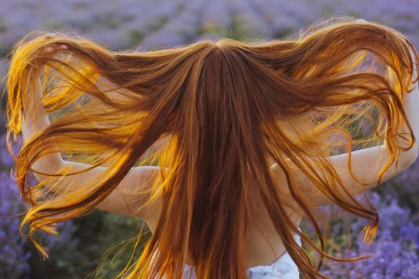 lavande-bio-cheveux-une