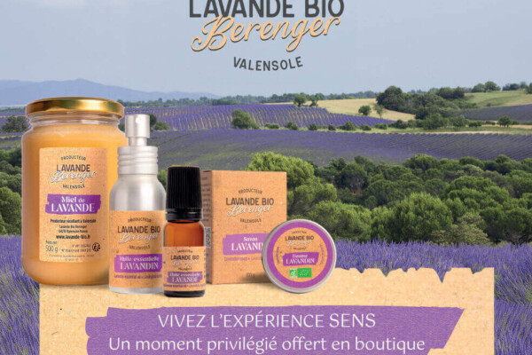 Lavande et lavandin du plateau de Valensole